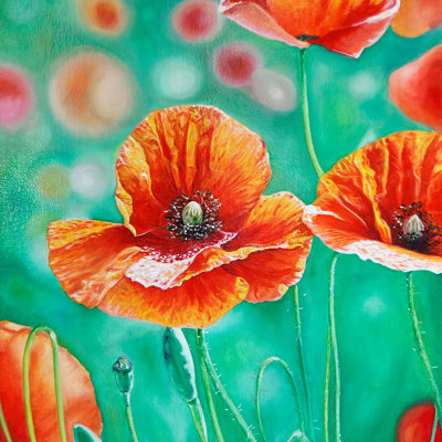 Coquelicots (60*40 - 2018)